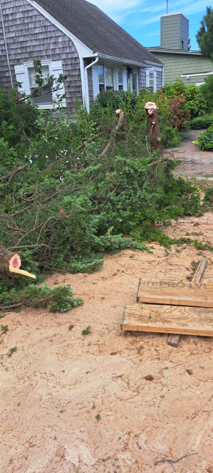 Sandoval Brothers Services LLC